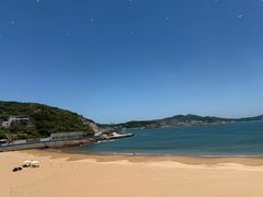 -魚當家
