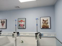 -纳吉亚猫专科动物诊疗中心(蒋宅口分院)