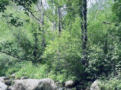 -玉渡山自然风景区