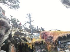-疯狂屋