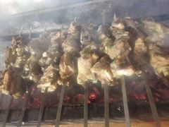 -新疆风味冷水鱼庄(友谊峰路店)