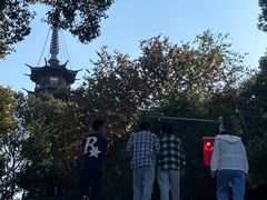 -上海佘山国家森林公园西佘山园