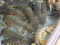 -拉威海鲜市场