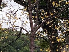 -无锡梅园公园