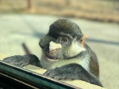 -杭州野生动物世界