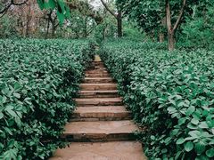 -北京张裕爱斐堡酒庄