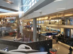 -达拉斯 沃斯堡国际机场