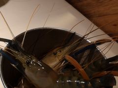 -星伦多自助料理(华润万象城店)