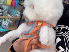 -佳雯宠物医院·皮肤科·内外科(春晓路分院)