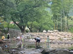 -北仑森林植物园