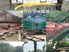 -杭州动物园