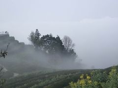-石潭村