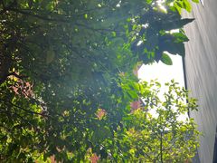 -Ocean's Table 欧舍