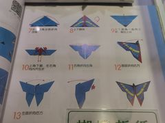 -上海昆虫博物馆