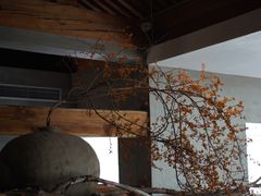 -曲廊院(东四十一条店)