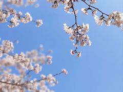 -上海山野camping·户外天幕烧烤·团建拓展营地