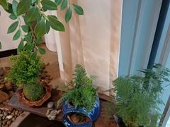 -千喜·艾灸·理疗·塑形(益田假日世界店)