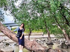 -宝安西湾红树林湿地公园