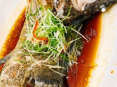 广式清蒸海石斑-西郊庄园丽笙大酒店-丽清轩中餐厅