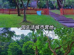 -莲花山公园