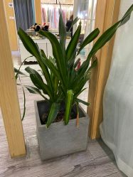 -七色田儿童摄影(静安店)
