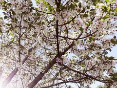 -白塘生态植物园