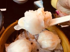 招牌虾饺皇-添运来(茶园奥园广场店)
