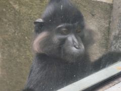 -宁波野生动物园