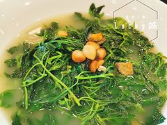 -顺德了能馆(虎门店)