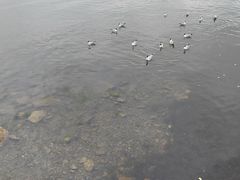-青海湖二郎剑景区