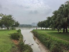 -鹤之洲湿地公园