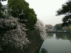 -名古屋城