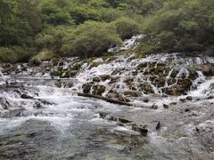 -叠溪松坪沟景区