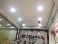 -DEM缔怡美科技美容