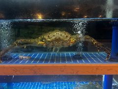 -宴悦海鲜餐厅·游水海鲜·牛排(亚龙湾瑞吉店)