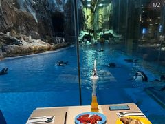 -帝企鹅自助餐厅•儿童岛•真企鹅(长隆企鹅酒店)