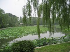 -紫竹院公园冰场