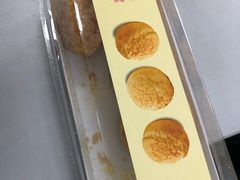 -蒲公英(五里店)