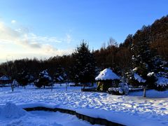 -横道河子东北虎林园
