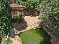 -老张烤羊(王哥庄店)
