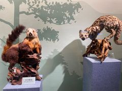 -陕西自然博物馆