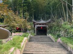 -宁波浙东大竹海景区