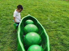 -西部长青自然儿童乐园