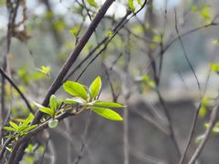 -随意茶庄·地道杭帮农家菜(梅家坞店)