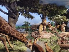 -国家自然博物馆