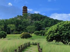 -红花山公园