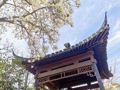 -南京珍珠泉风景区