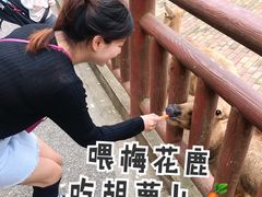-无锡动物园·太湖欢乐园
