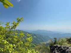 -王顺山国家森林公园