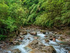 -西岭雪山大飞水景区